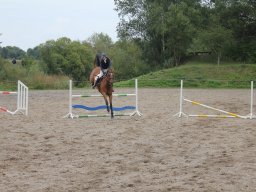 img_9750_web